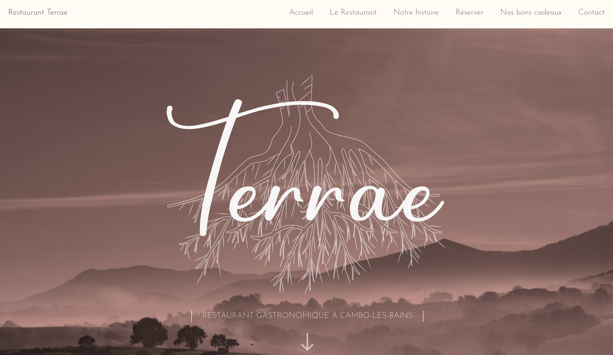 TERRAE